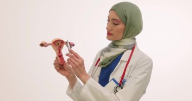 Türbanlı kadın jinekologlar uterus modelini beyazlara karşı gösteriyor. Müslüman kadın doktor klinikteki randevuda üreme sistemini açıkladı