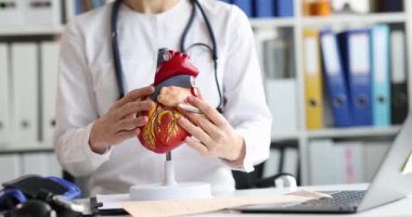 Cardiologist shows anatomy of heart in cardiology clinic. Cardiovascular disease concept