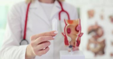 Proktolog doktor rektal fitil ve insan rektumunun yapay modelini tutuyor. Alt rektumdaki vasküler yapılar ve akut ağrı tedavisi kavramı