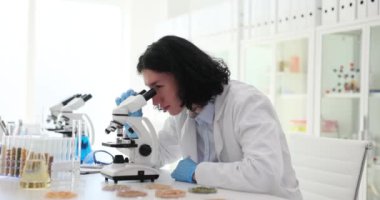 Bilim adamı cam test tüplerini mikroskopta tarımsal laboratuvarda çeşitli mısır gevrekleri ile inceliyor. Genç tarımcı bilim adamı araştırma yapıyor