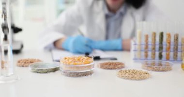 Karabuğday mısır ürünlerinin analiz laboratuvarı. Mısır gevreği ve GDO çalışmaları