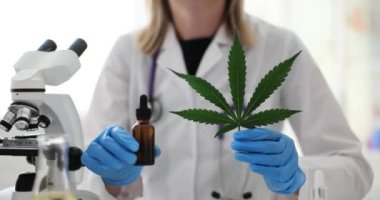 Bilim adamı laboratuvarda marihuana yağı ve yeşil bir yaprak tutuyor. Biyokimyacı kenevir yaprakları ile deney yapar veya eczacı laboratuvarda aromatik kenevir yağı çıkartır,