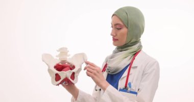 Tesettürlü kadın doktor, pelvis kemiklerinin hastaya organları açıkladığını gösteriyor. Müslüman kadın sıhhiyeci hastanedeki sorunu beyazlar üzerinde açıklıyor