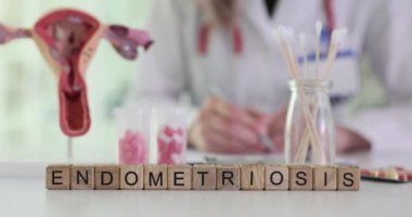 Jinekolog masasında rahim anatomik modeli ve numunelerle kelime endometriyozisi. Modern klinikte kadın üreme organları muayenesi