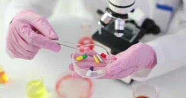 Pembe eldivenli bilim adamı, cımbızla Petri kabından renkli kapsüller alıyor. Kimyager laboratuarda ilaç malzemeleri ile çalışır.