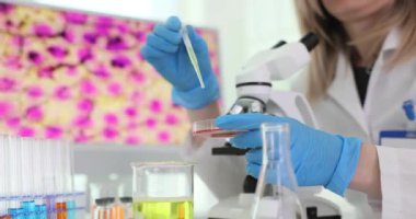 Kadın laboratuvar çalışanı, petri kabına mikroskop yakınındaki pipetle numune bırakıyor. Kadın teknisyen laboratuarda test için malzeme hazırlıyor.