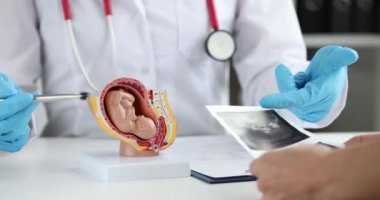 Doktor, ana rahmindeki bebek cenininin plastik modelini kullanarak hastaya bebek büyümesi ve gelişimi açıklıyor. Doktor hamileliği müstakbel ailelerle tartışıyor.