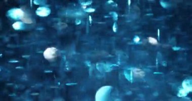 Pırıl pırıl mavi pullar neşeli bir atmosfer yaratır. Dekorasyonlar ışığı yakalamak için hızlı hareket eder. Parlak soyut arkaplan