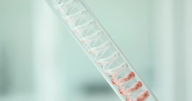 Steril laboratuardaki spiral cam tüpten sıvı akıyor. Kırmızı kimyasal çözelti, bilimsel araştırmalar için özel cam eşyalar içeriyor.