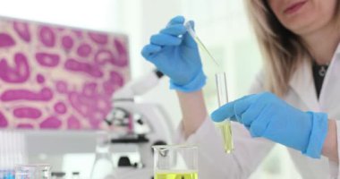 Teknisyen, pipeti cam tüp içine damlatarak laboratuvarda test yapıyor. Bilimadamı tıbbi laboratuvarda inceleme için çözüm hazırlıyor