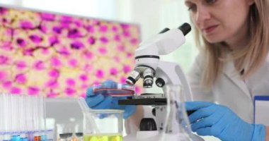 Kadın araştırmacı, mikroskoba biyomateryal numunesiyle Petri kabını koymuş. Kadın asistan, laboratuardaki numunelerle çalışıyor.