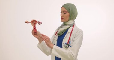 Müslüman kadın doktor, rahim modelinin farklı kısımlarını kalemle işaret ediyor. Türbanlı kadın hekim kadın üreme organlarının işlevlerini açıklıyor