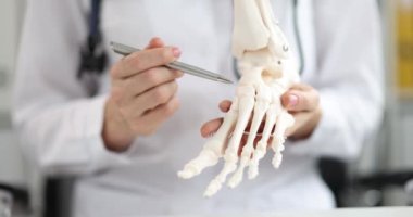 Bir tıp uzmanı, çok detaylı bir anatomik ayak modelini önemli eğitim amaçları için dikkatlice inceler.