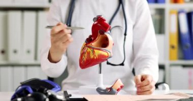 Klinik ortamdaki bir doktor, anatomisini ve işlevlerini vurgulayan detaylı bir kalp modeli tutar.
