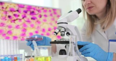 Tutkulu bir bilim adamı modern bir laboratuvar ortamında yüksek teknolojili mikroskopla renkli örnekler üzerinde çalışıyor.
