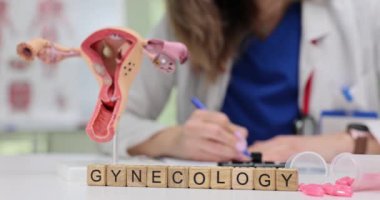 Bir jinekoloji sahnesinde anatomik bir model ve çalışmalarına aktif olarak katılan bir tıp uzmanı var.