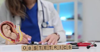 Kadın doğum uzmanı ve kadın jinekolog masada tıbbi evraklarla çalışıyorlar. Doktor fetüs anatomik modelinin yakınındaki hasta kayıtlarını dolduruyor.