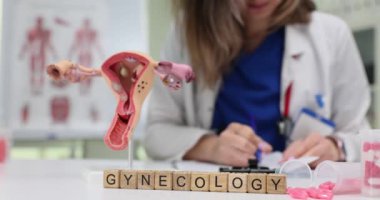 Klinikteki kadın doktorlara karşı ilaç ve rahim mankeni olan blokların kelime jinekolojisi. Tıp merkezinde kadın üreme sağlığı kontrolü