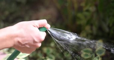 Bir el, gelişmekte olan bitkileri sulamak için bahçe hortumunu kullanır. Anahtar bahçe aletlerini vurgular ve su korumayı teşvik eder.