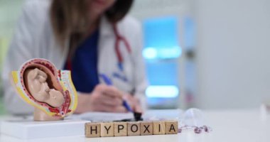 Nitelikli bir sağlık uzmanı detaylı bir anatomik model kullanarak hastalarda hipoksiyi iyice inceler.