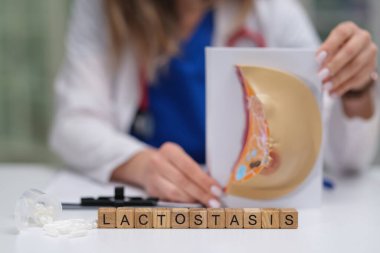 Emzirme bilincini artırmak için çok önemli bir kavram olan laktozun ayrıntılı ve ayrıntılı bir temsilidir.