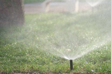 Bir çim püskürtücü verimli bir şekilde yeşil çimlerin üzerine su püskürtür, etkili sulama teknikleri sergiler.