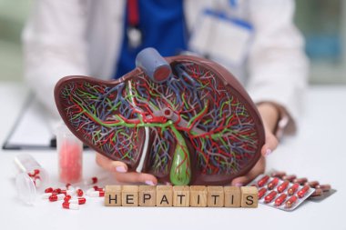 Etkili tedavi için karaciğer modeli ve anahtar ilaçlarla hepatit yönlerini gösteren bilgilendirici bir resim