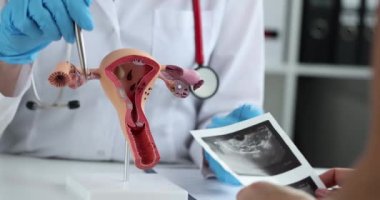 Bir doktor hasta muayenesi sırasında kadın üreme anatomisi hakkında detaylı bir gösteri sunar.