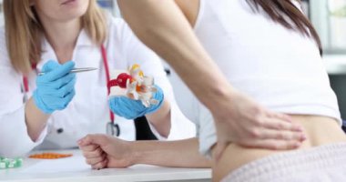 Nitelikli bir sağlık uzmanı bir hastayla sırt ağrısını tartışıyor. Detaylı bir modelle yardımcı oluyor.