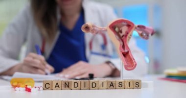 Bir sağlık uzmanı, kadınların üreme sisteminin detaylı bir modelini kullanarak kandiyasyonu inceliyor.