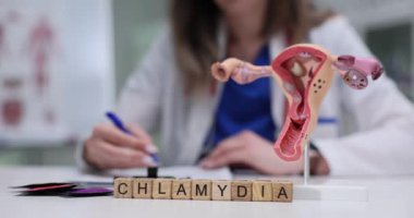 Chlamydia eğitim ve farkındalığa bağlı kadın üreme sisteminin görsel bir temsili.