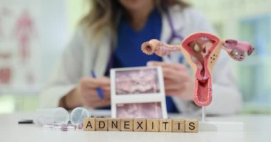 Kliniklerde, anatomik modellerin etkin kullanımı ve bilgilendirme materyalleri ile adneksitlerin görselleştirilmesi gelişebilir