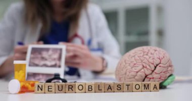 Bir doktor, klinik ortamda tıbbi aletler ve beyin modeli kullanarak nöroblastoma üzerine bir çalışma yürütüyor.