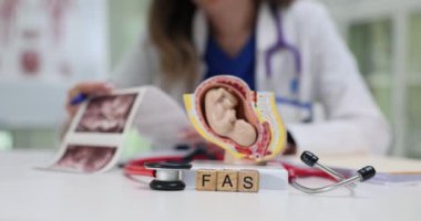 Nitelikli bir doktor, tıbbi görüntüleri detaylı anatomik modellerle birlikte klinik ortamlarda inceler.