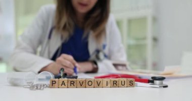 Bir sağlık uzmanı klinik ortamda parvovirüsle ilgili belgeleri inceleyerek ayrıntılı bir anlayış sağlar.