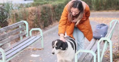 Turuncu ceketli mutlu kadın parkta bankın yanında köpeği nazikçe evcilleştiriyor. Kadın, sonbaharda yavaş çekimde yürürken sakin evcil hayvanla etkileşen neşeyi yansıtır.