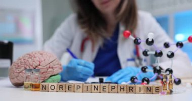 Kendini işine adamış bir bilim adamı norepinefrin üzerinde çalışıyor, gelişmiş modelleri karmaşık sinirsel süreçlerle birleştiriyor.