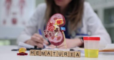 Bir sağlık uzmanı, araştırma, tanı ve eğitim için böbrek modelinde hematüri belirtilerini araştırır.