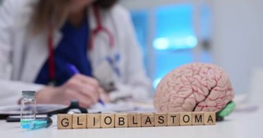 Glioblastoma araştırmasını derinlemesine inceleyip kapsamlı bir beyin modelinin yanı sıra profesyonel tıbbi analizleri de kullanacağız.