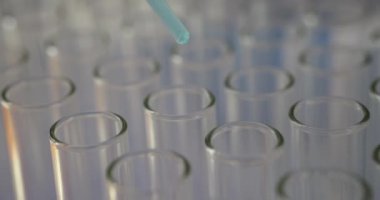 Mavi sıvı laboratuvar pipetinden şeffaf test tüplerine damlıyor. Steril ortamda bilimsel araştırma deneysel analizi