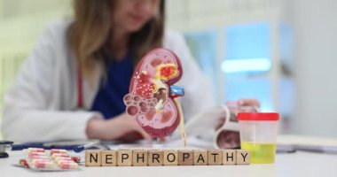 Nefropatiyi araştırın, böbrek sağlığını araştırın ve bu bilgilendirici tıbbi görüntüden teşhis hakkında bilgi edinin.