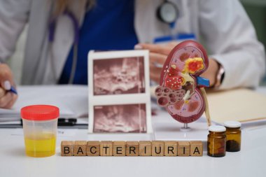 Bu metin, bakterilerin böbrek modelleri ve laboratuvar örnekleriyle teşhis edilmesine yönelik metotların genel bir değerlendirmesini sunar.