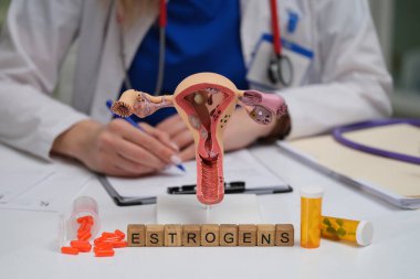 Bu görsel örnekte rahmin ve östrojenlerin kadınların üreme sağlığındaki rolleri vurgulanıyor.