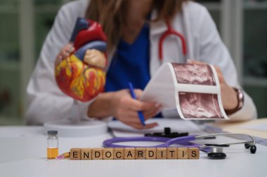 Bir sağlık uzmanı endokarditi daha iyi anlamak için kalp modeli ve tıbbi görüntüler kullanarak analiz eder.