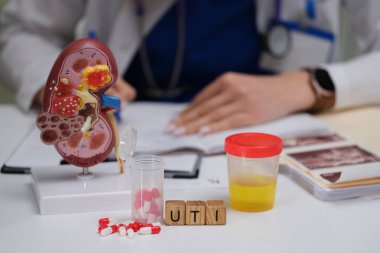 Böbrek modelleri, idrar örnekleri ve tıbbi analiz araçları kullanılarak idrar yolları enfeksiyonları teşhis ediliyor