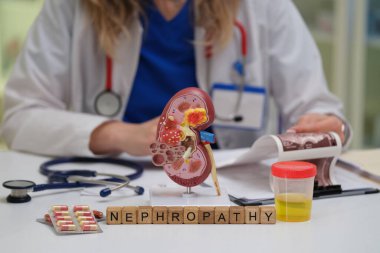 Çeşitli modeller ve gelişmiş teşhis araçlarıyla böbrek sağlığını vurgularken nefropatiyi daha derinlemesine araştırın