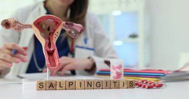 Bu, salpinjitin durumunu etkili bir şekilde gösteren tıbbi eğitim modeline kesin bir bakış.