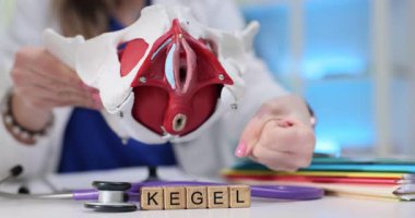 Bu makale, pelvik sağlık ve kas anatomisine odaklanarak Kegel egzersizlerinin ayrıntılı bir özetini sunar.