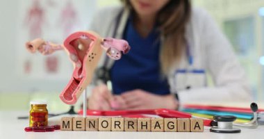 Bu görsel görüntü anatomik modeller kullanılarak kadın sağlığında menorrhajinin önemini vurgular.