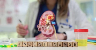 Bir sağlık uzmanı model böbreği incelerken aynı zamanda çeşitli idrar tutamama sorunlarını da tartışıyor